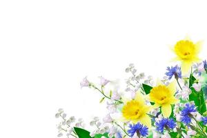 flor de sino colorida brilhante foto