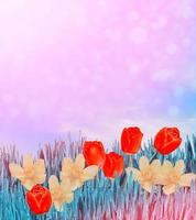 flores de primavera brilhantes e coloridas narcisos e tulipas foto
