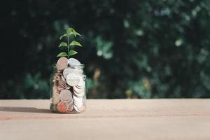 planta crescendo em moeda em frasco de vidro colocado no piso de madeira e fundo verde borrão, economia de dinheiro e ideia de investimento. foto