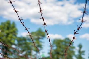 arame farpado enferrujado no fundo do céu azul. restrição do conceito de liberdade foto