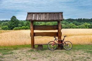 um banco de gazebo de madeira com bicicleta em um campo de trigo foto