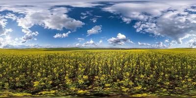 panorama hdri esférico completo sem costura visão de ângulo de 360 graus entre campos de colza canola colza no dia de primavera no céu em projeção equirretangular, pronto para conteúdo de realidade virtual vr ar foto