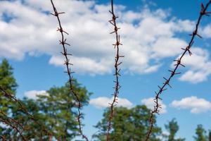 arame farpado enferrujado no fundo do céu azul. restrição do conceito de liberdade foto