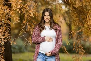 jovem mulher grávida no parque outono foto