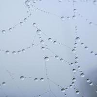 gotas de chuva na teia de aranha em dias chuvosos, abstrato foto