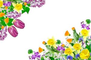 flor de sino colorida brilhante foto