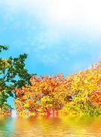 paisagem de outono com árvores coloridas e brilhantes. verão indiano foto