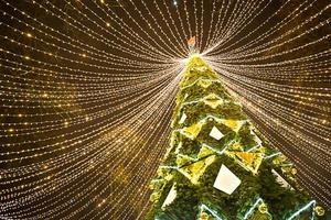 árvore de natal da cidade alta no parque com uma tampa de guirlandas de luzes, brilha à noite na rua. natal, ano novo, decoração da cidade. Kaluga, Rússia foto