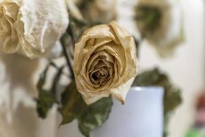 rosas brancas secas em vaso de vidro branco foto