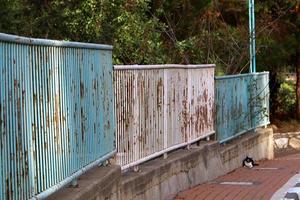 esgrima em um parque da cidade na costa mediterrânea foto