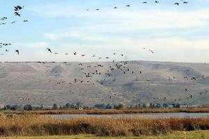 paisagem nas montanhas no norte de israel foto