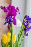 tulipas amarelas, íris azuis e orquídea mariposa violeta no peitoril da janela em um dia ensolarado foto