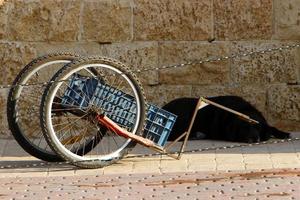 bicicleta - veículo de duas rodas foto