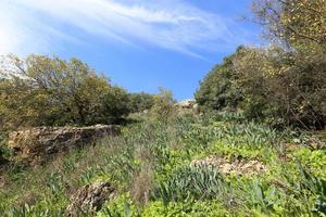 paisagem nas montanhas no norte de israel foto