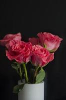 rosas cor de rosa em um vaso branco no fundo preto foto