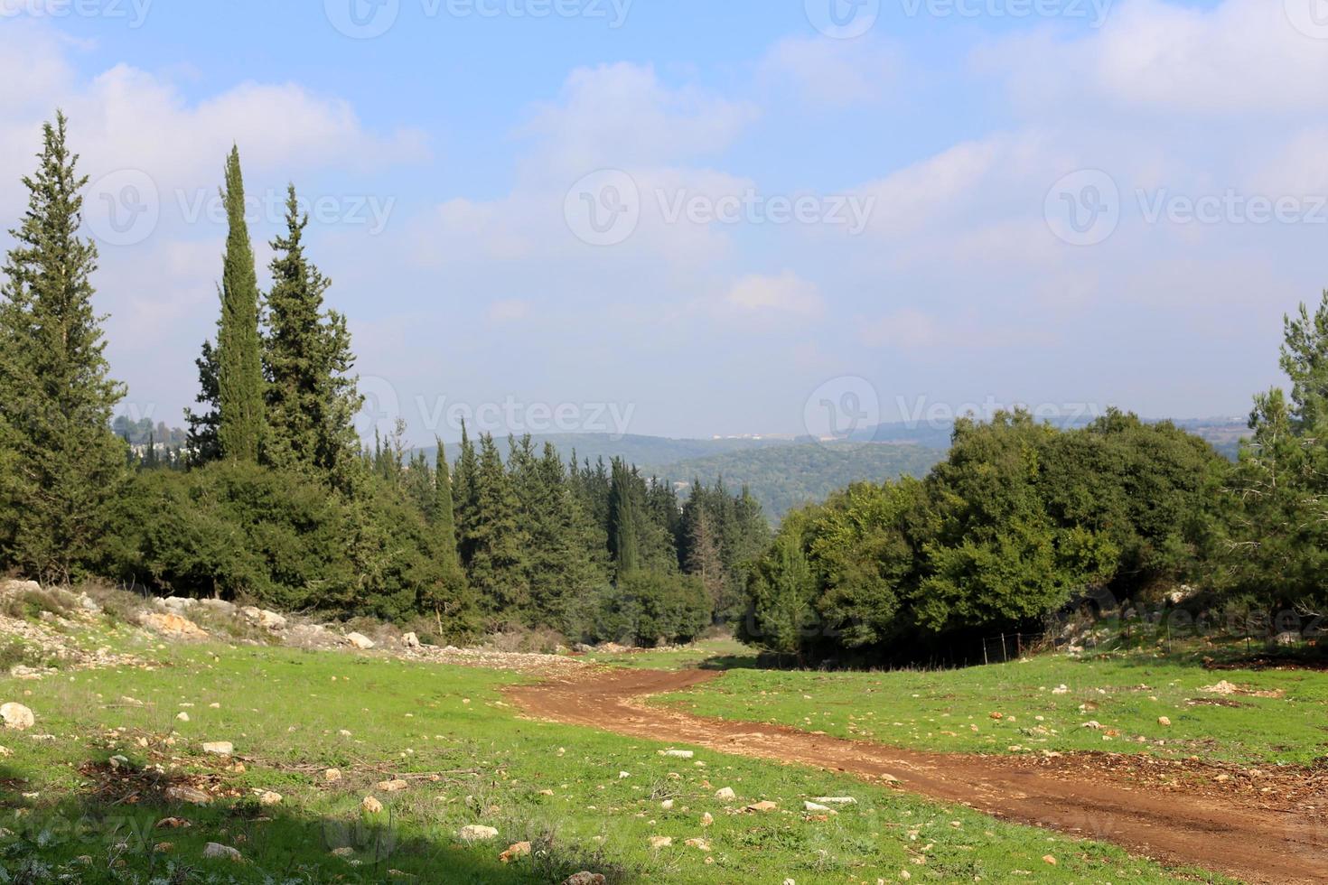 Landschaft in den Bergen im Norden Israels foto