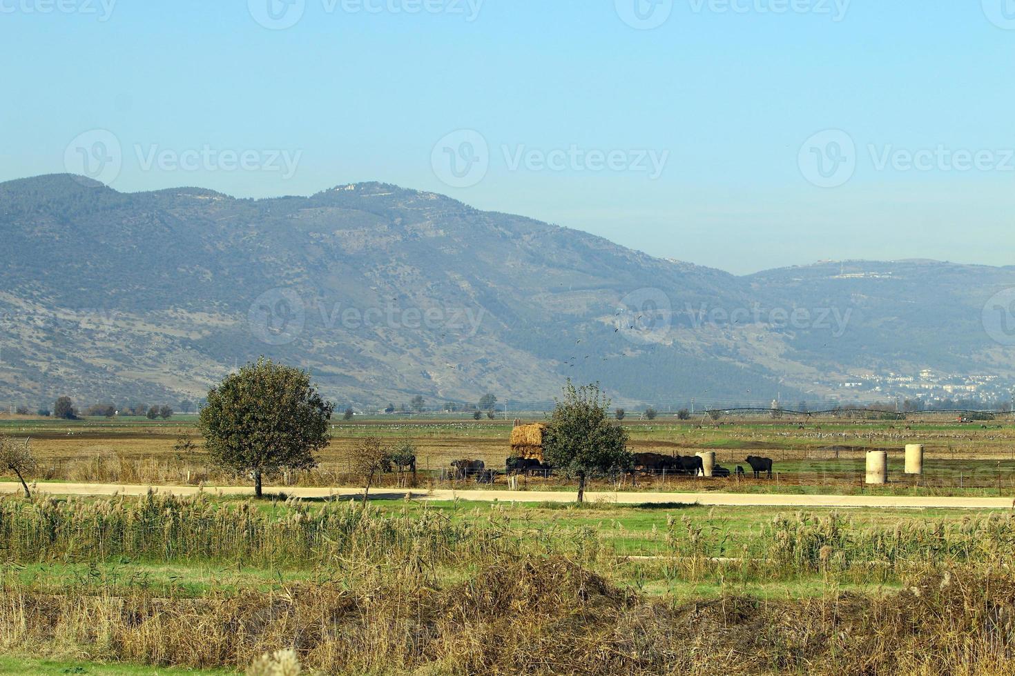 Landschaft in den Bergen im Norden Israels foto