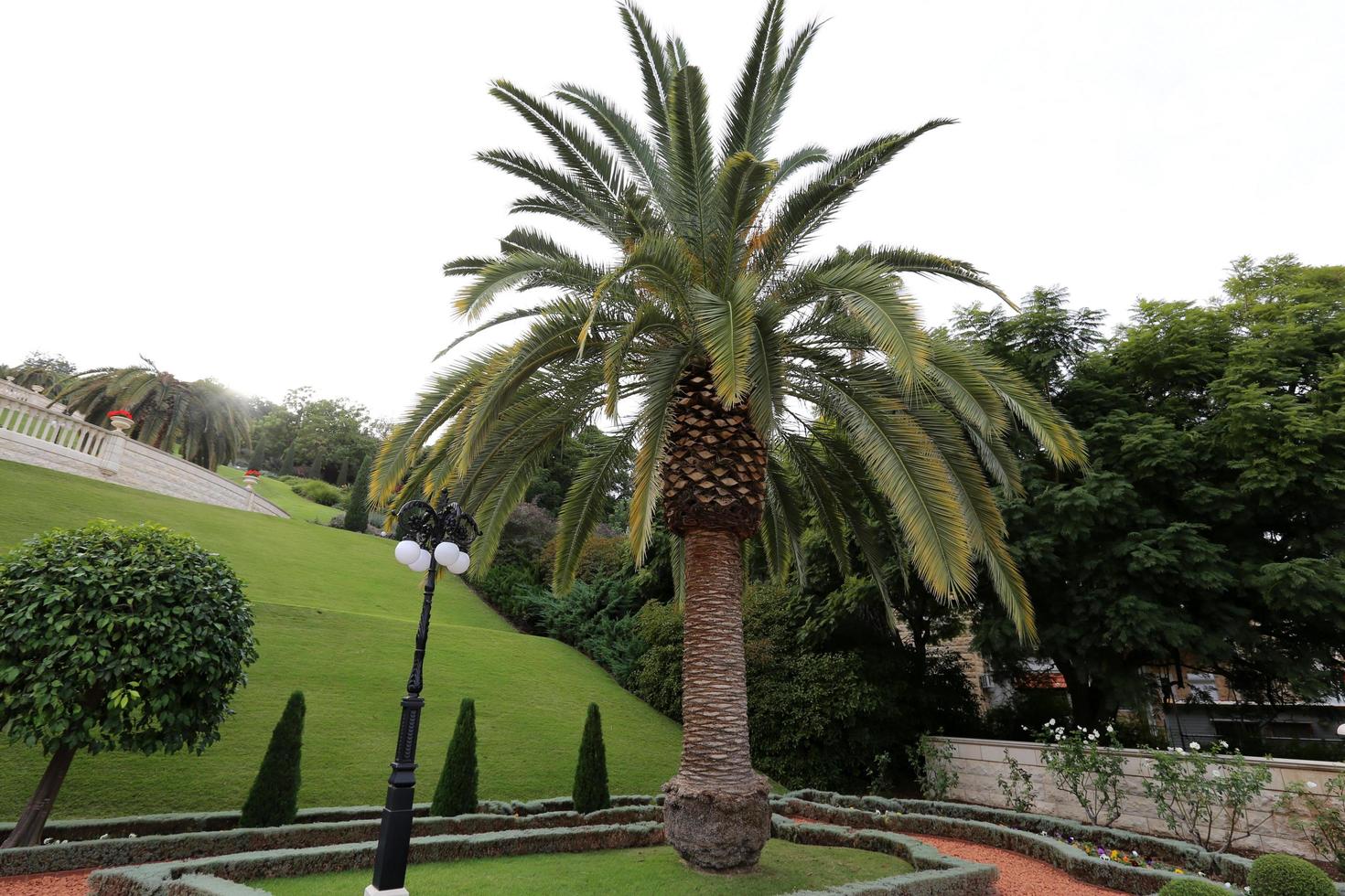 2. Dezember 2018 . Bahai-Gärten - ein herrlicher Park in der Stadt Akko im Norden Israels. foto