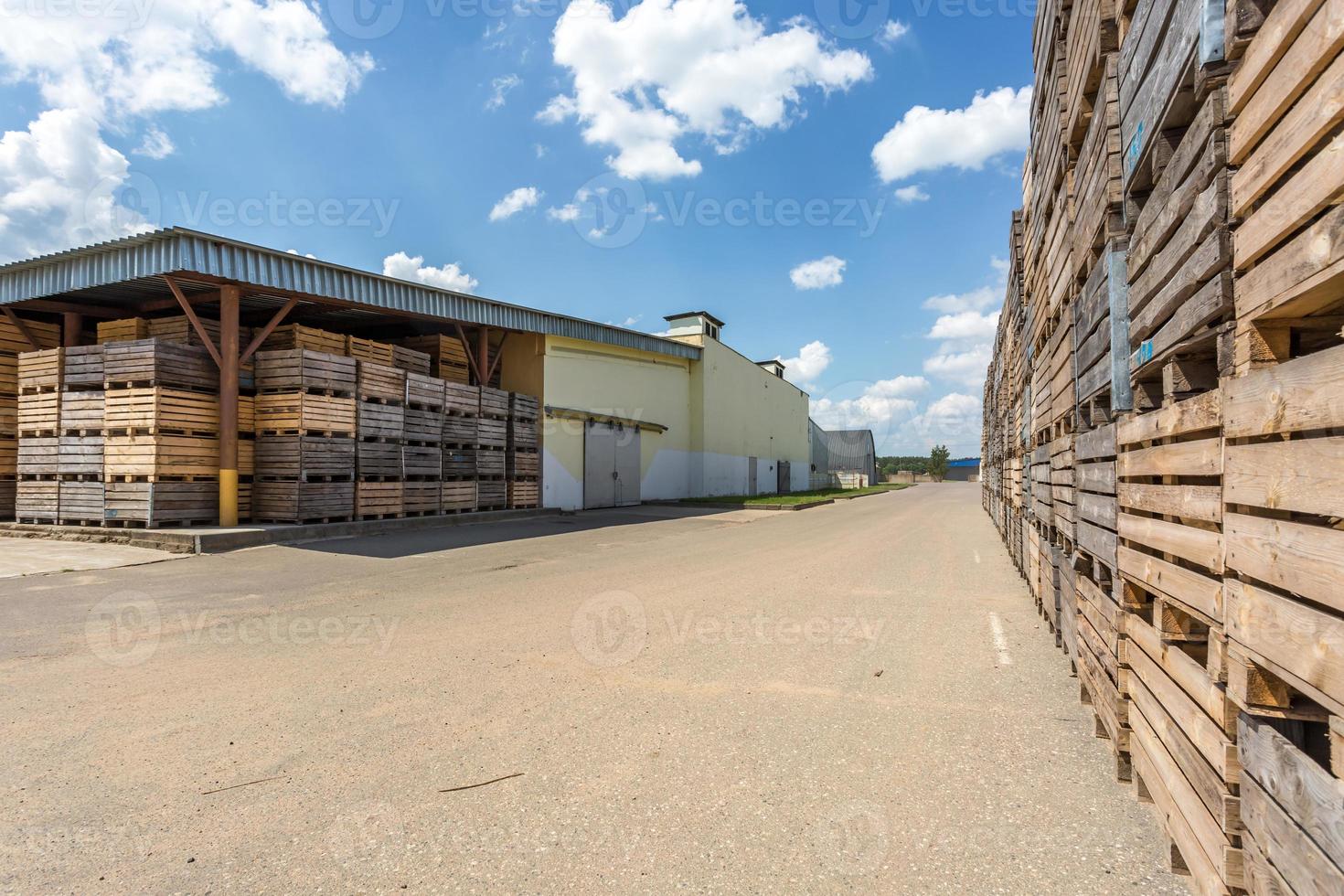 reihen von holzkistenkisten und paletten für obst und gemüse im lagerbestand. Produktionslager. Pflanzenindustrie foto