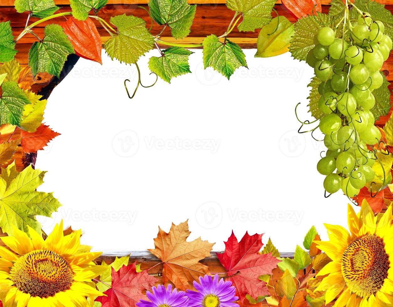 Rahmen aus Blumen und Blättern foto