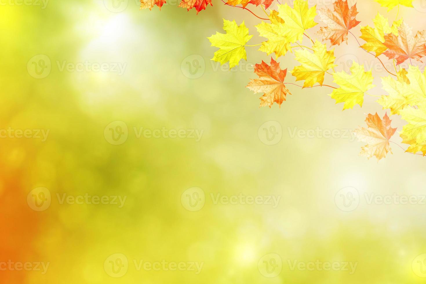 Herbstlandschaft mit leuchtend buntem Laub. Indischer Sommer. foto