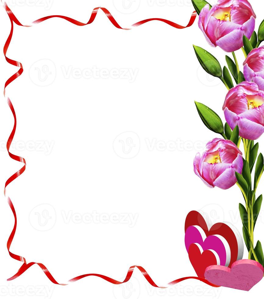 Tulpen Blumen isoliert auf weißem Hintergrund foto