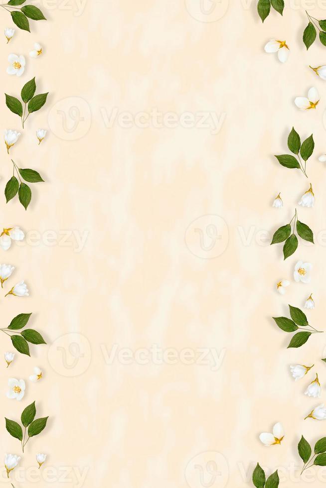 Zweig leuchtend weiße Jasminblüten. Frühlingskomposition. foto