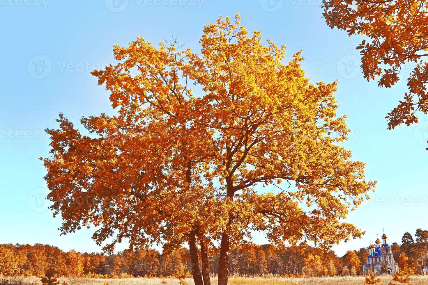 Herbstlandschaft mit leuchtend buntem Laub. Indischer Sommer. foto