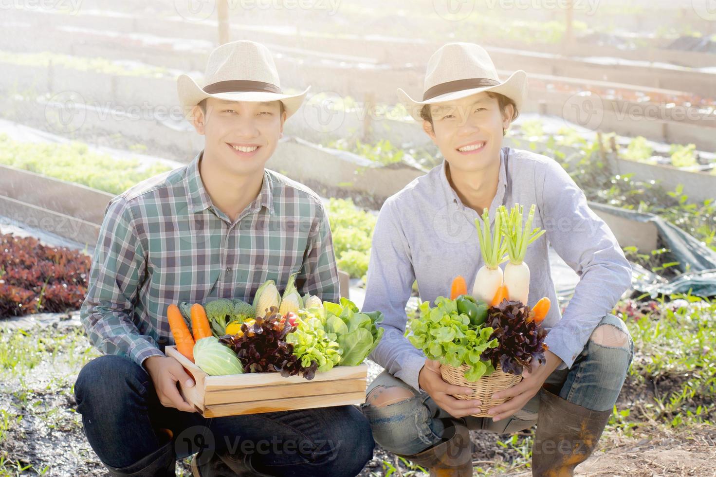 schönes Porträt junge Zwei-Mann-Ernte und Aufsammeln von frischem Bio-Gemüsegarten im Korb in der Hydroponik-Farm, Landwirtschaft für gesunde Lebensmittel und Unternehmerkonzept. foto