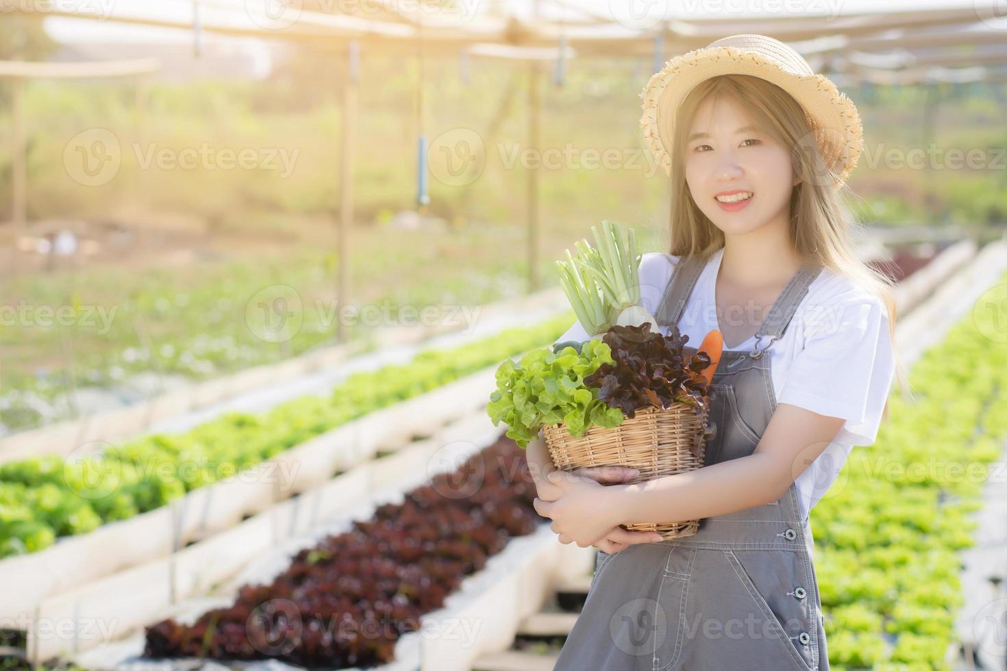 schönes porträt junge asiatin lächeln ernte und pflücken von frischem bio-gemüsegarten im korb in der hydrokulturfarm, landwirtschaft und anbau für gesunde lebensmittel und geschäftskonzept. foto