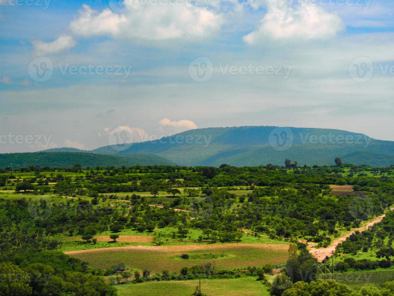 grüne Landschaft sanfte Hügel und blauer Himmel foto