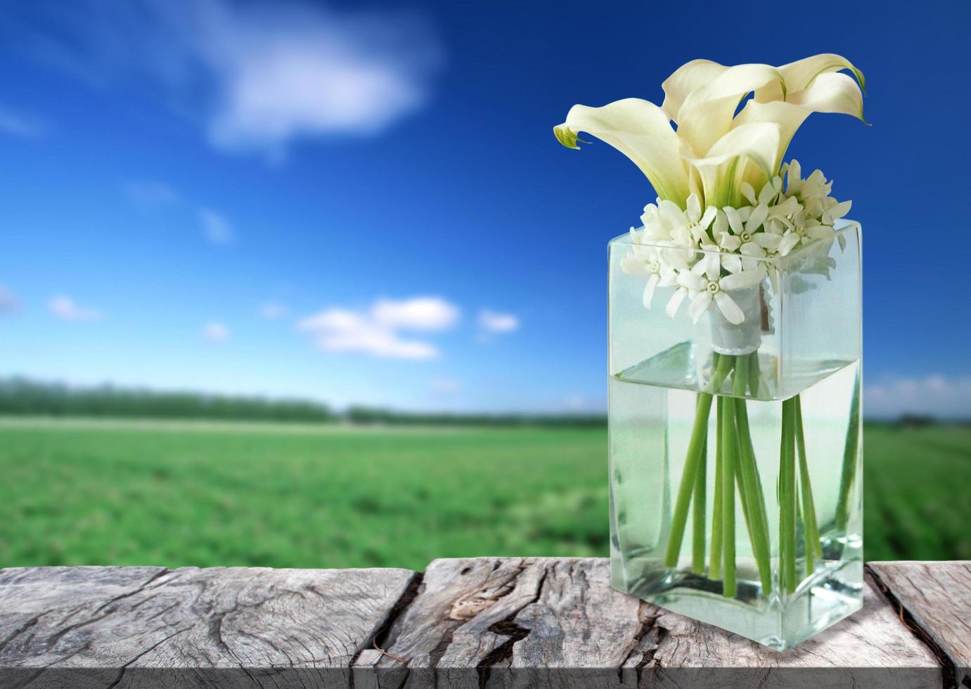 Glasvase mit schönen weißen Blumen auf Holzboden, Bild auf natürlichem Hintergrund für Design foto