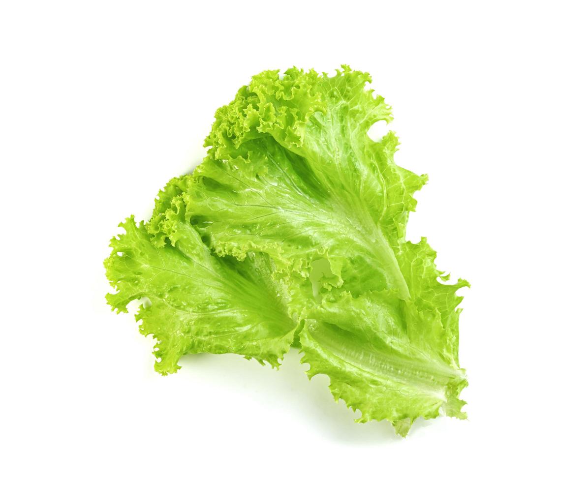 Salatblatt isoliert auf weißem Hintergrund, grüne Blätter Muster, Salatzutat foto