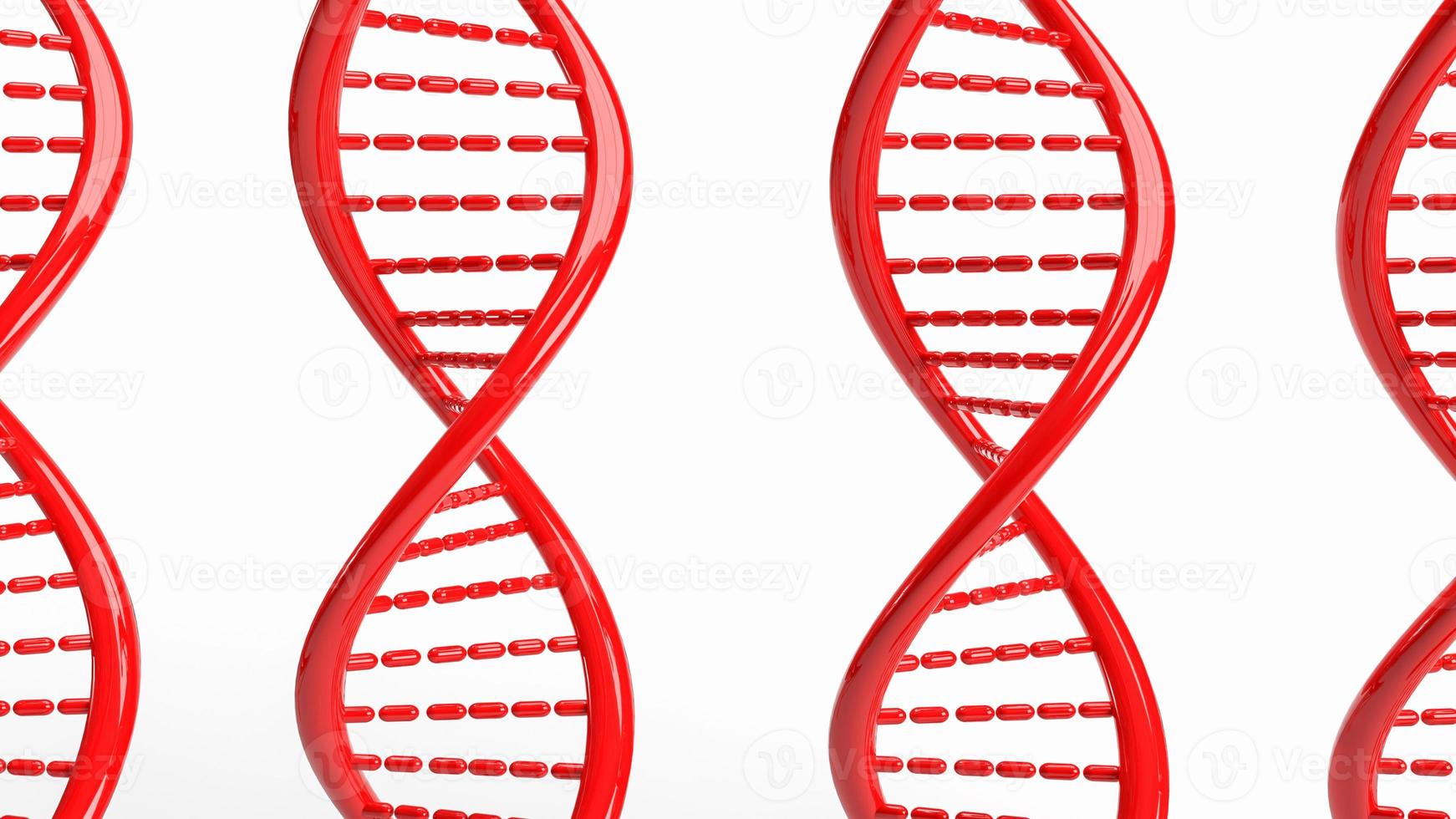 die rote dna auf weißem hintergrund für sci oder medizinisches konzept 3d-rendering foto