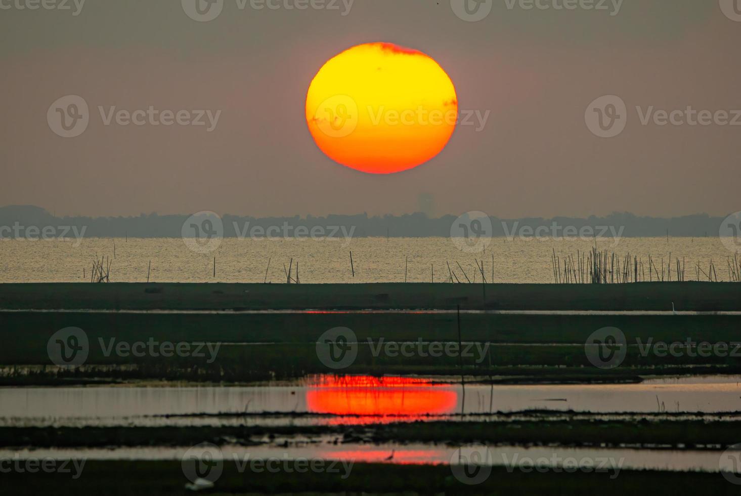 der große sonnenaufgang ist orange. Sonnenaufgang über dem Meer und Mangrovenwald foto