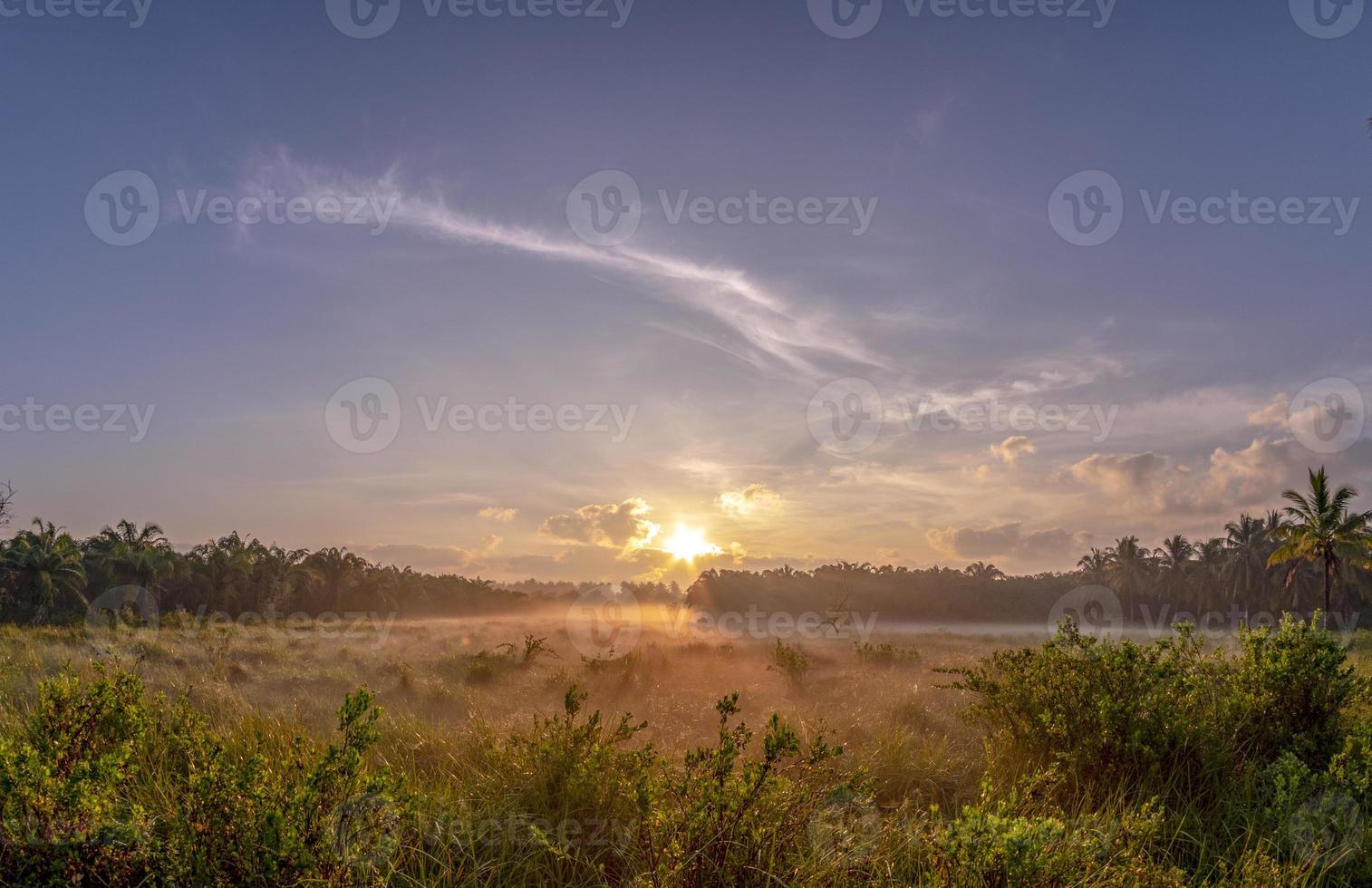 nebel über dem gras am morgen natur am weg in der provinz chumphon foto