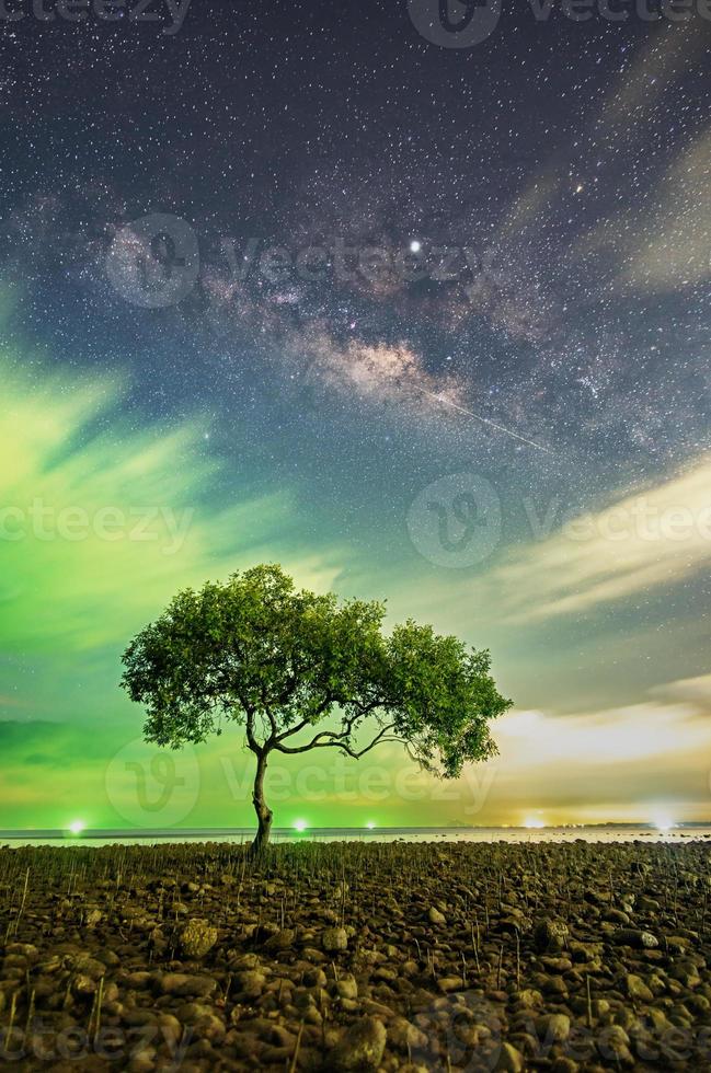 Ein Baum am Strand von Chumphon, Provinz Chumphon. die Bewegung der Wolken und der Milchstraße. Das Mangrovengebiet erhält grünes Licht von Fischerbooten. foto