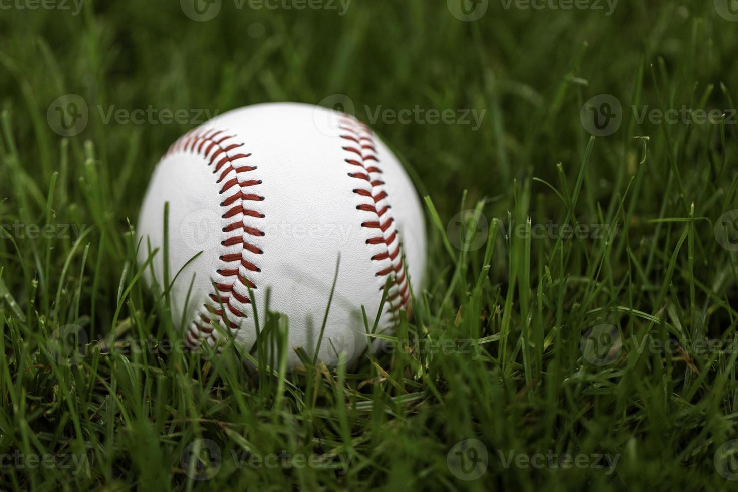 Baseball im Gras foto