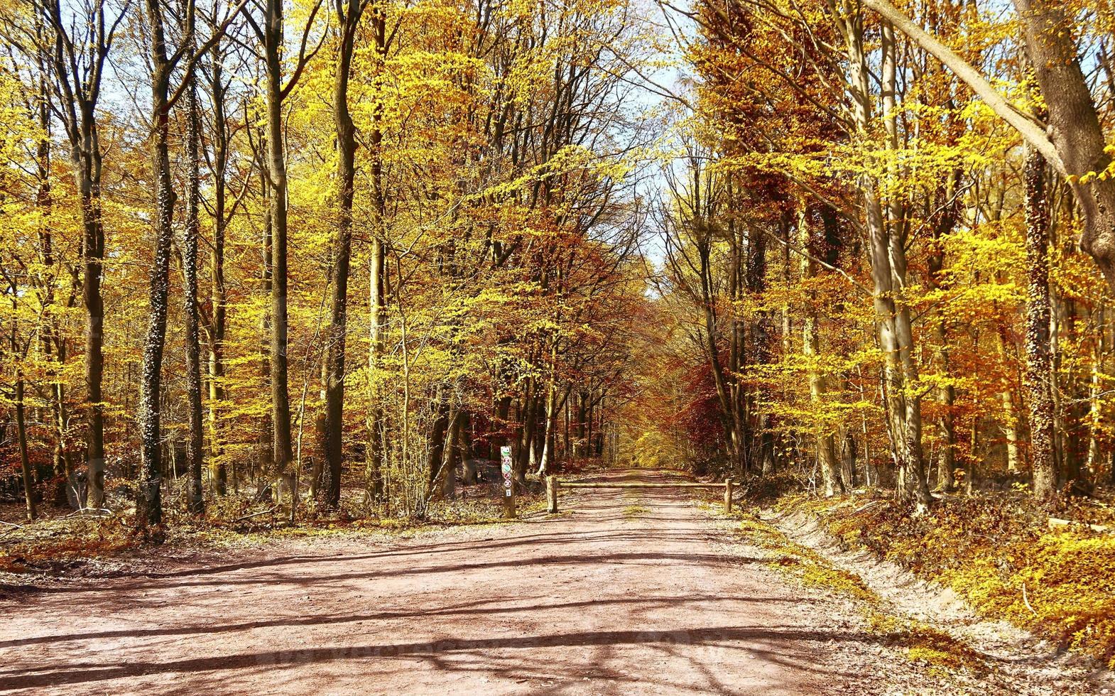 Wunderschöner Panoramablick auf eine goldene Herbstlandschaft in Europa foto