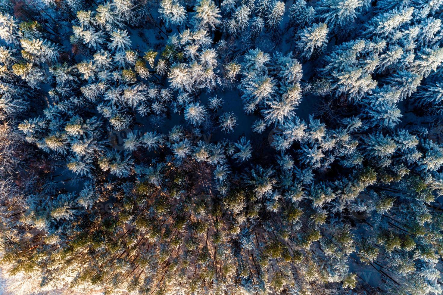 schöner märchenhafter Winter verschneiter Morgenwald, der von einer Drohne geschossen wurde. foto