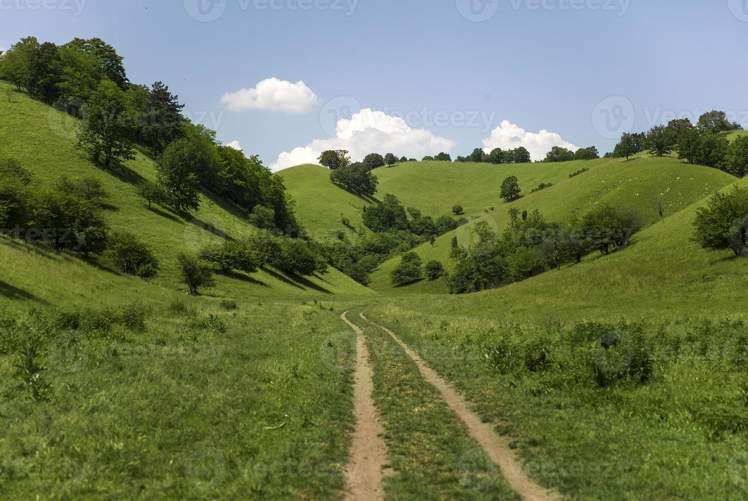 Zagajica-Hügel in Serbien foto