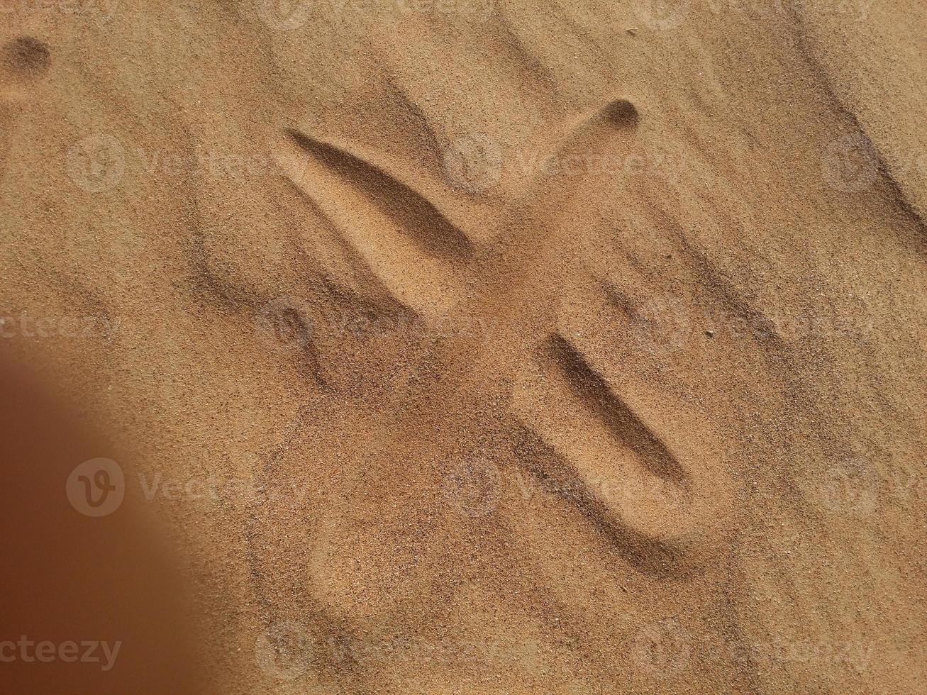 Sanddünen in der Wüste foto