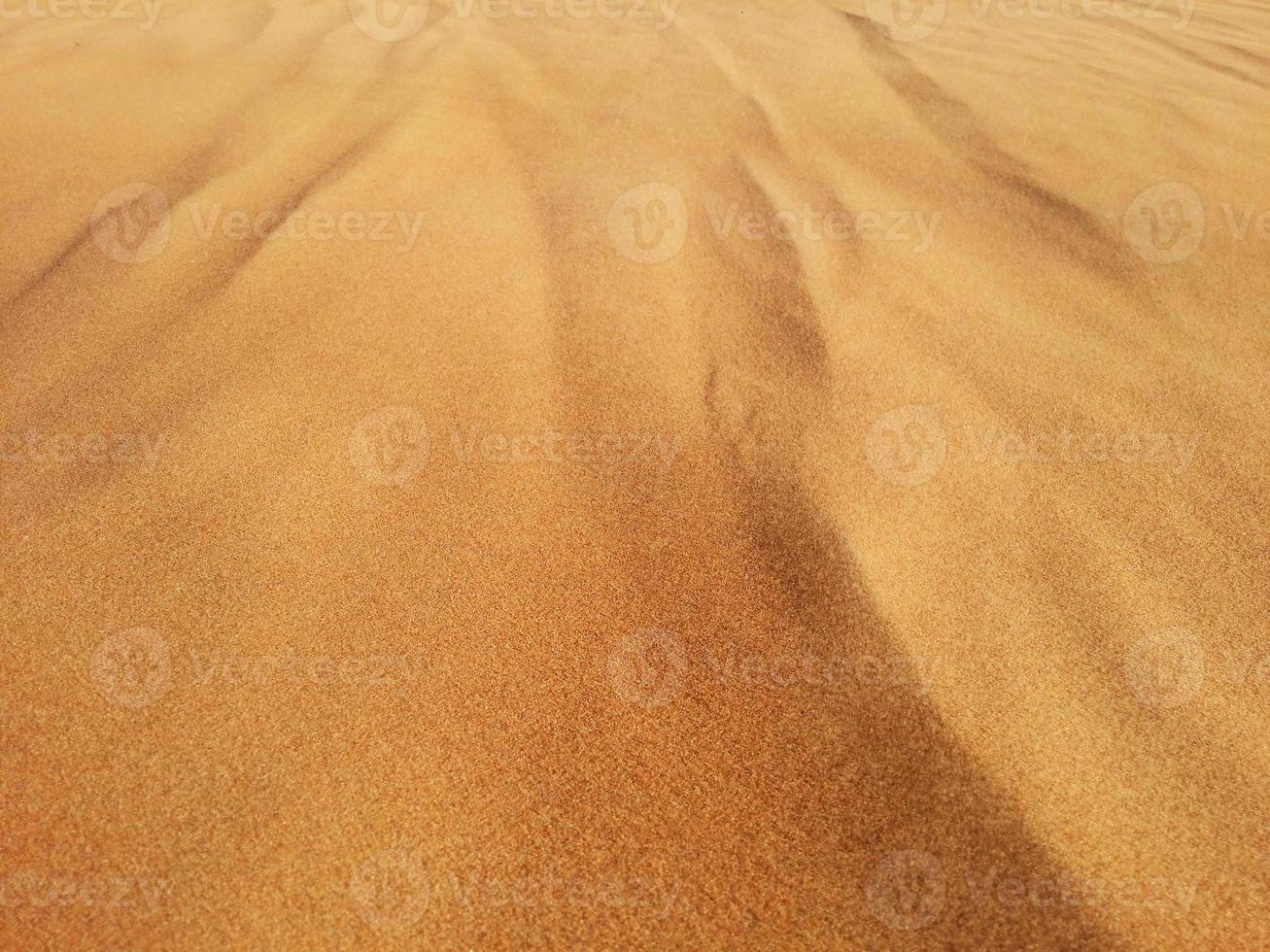 Sanddünen in der Wüste foto