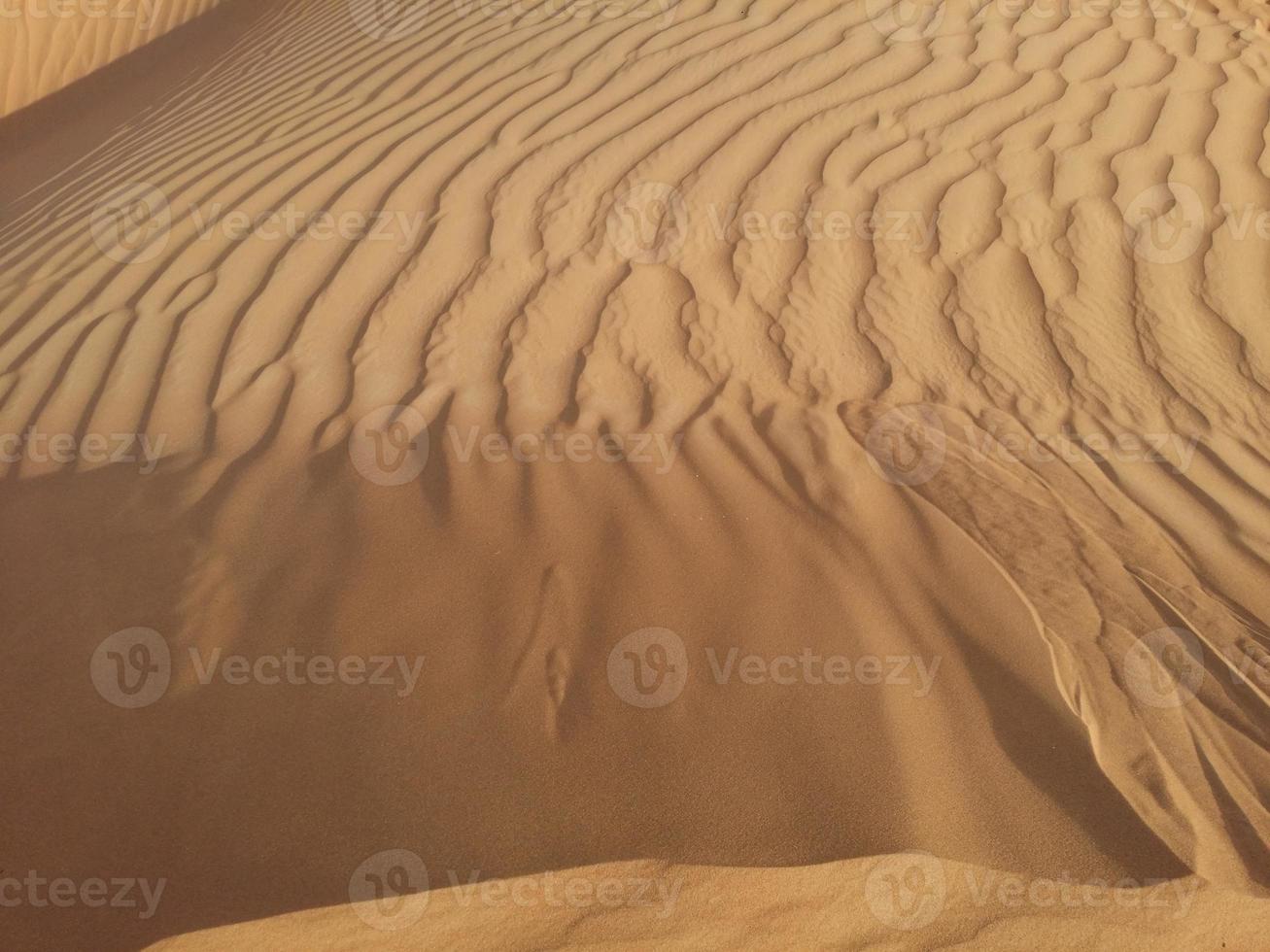 Sanddünen in der Wüste foto