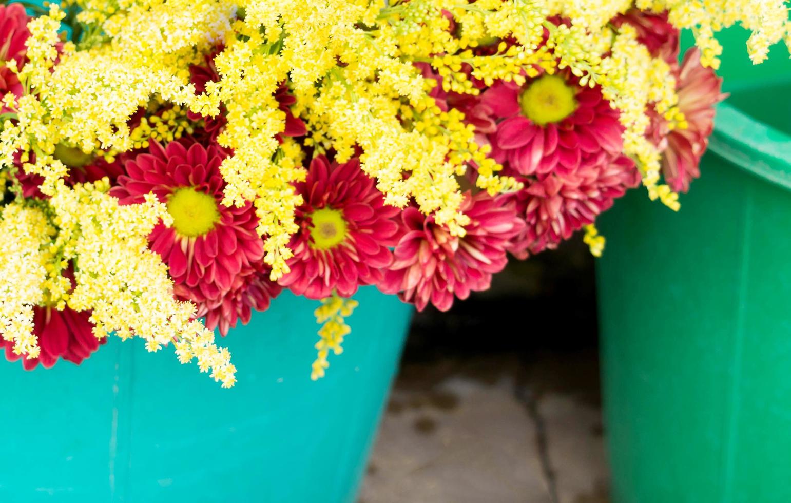 verwischen Sie bunte Blumen im Eimer foto