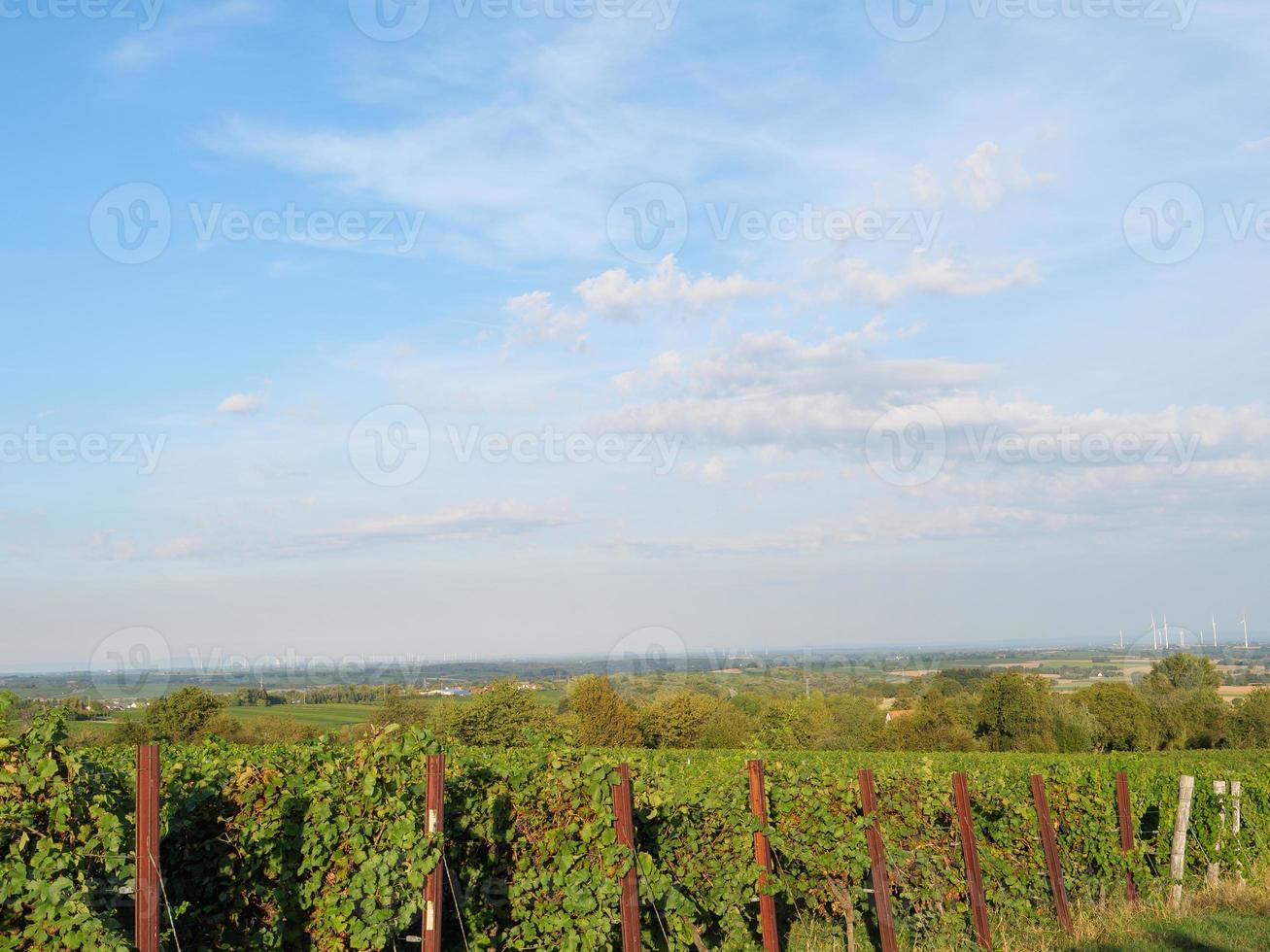 Dörrenbach in der deutschen pfalz foto