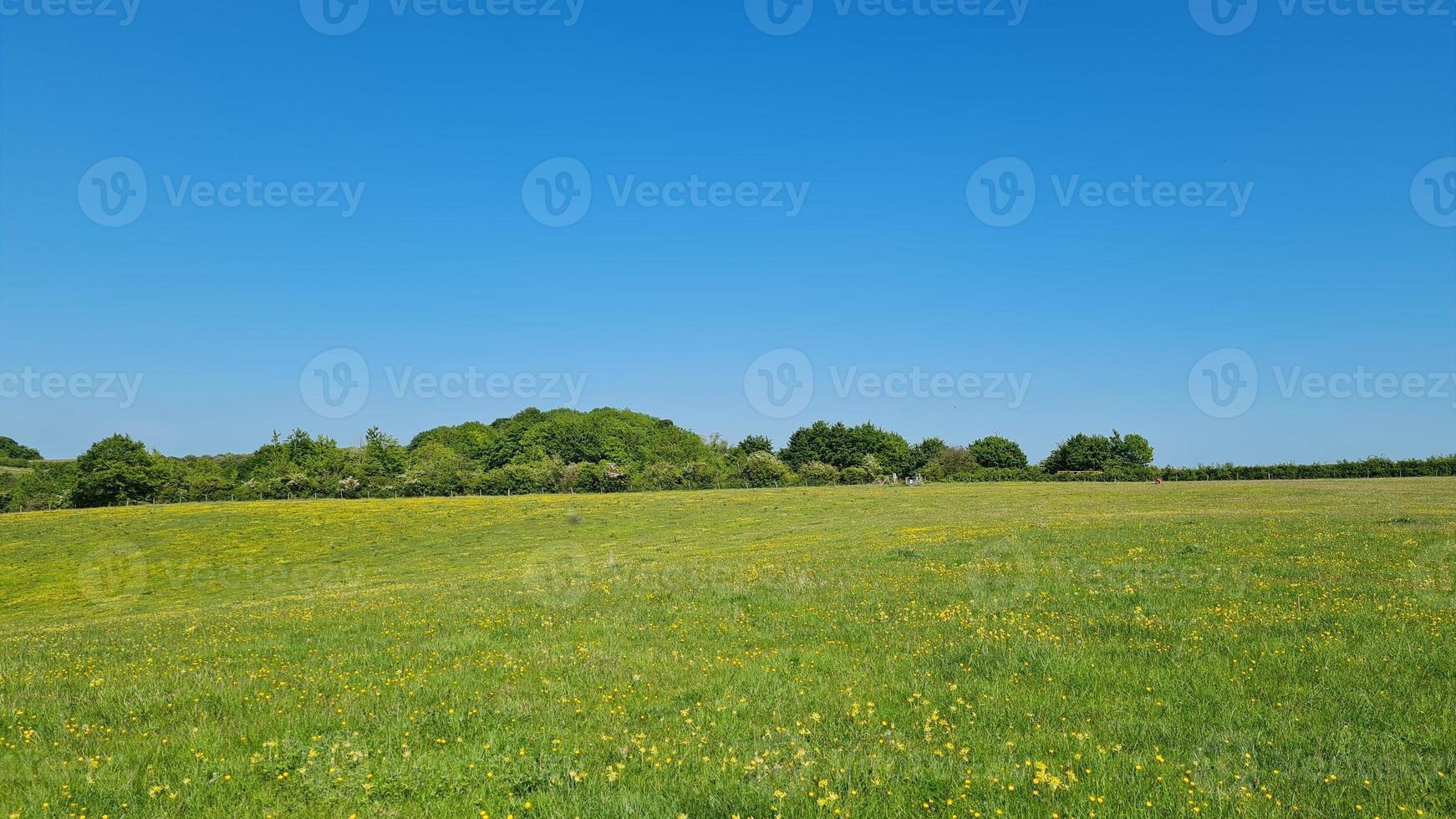 Low-Winkel-Aufnahmen von britischen landwirtschaftlichen Betrieben und Landschaften, foto