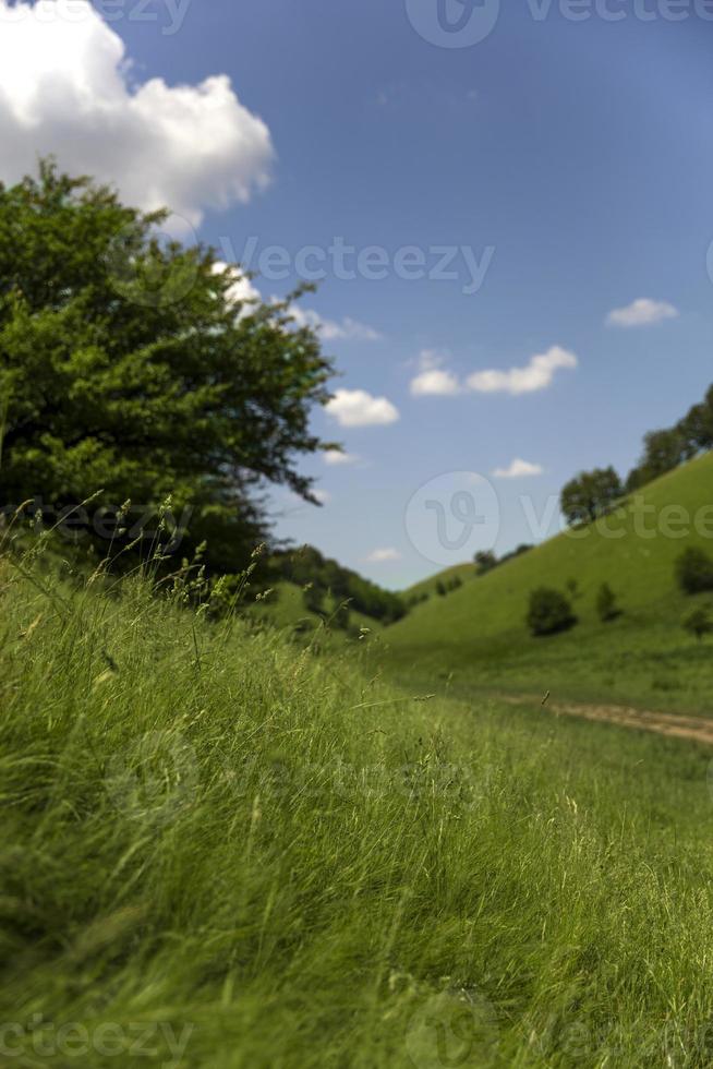 Zagajica-Hügel in Serbien foto