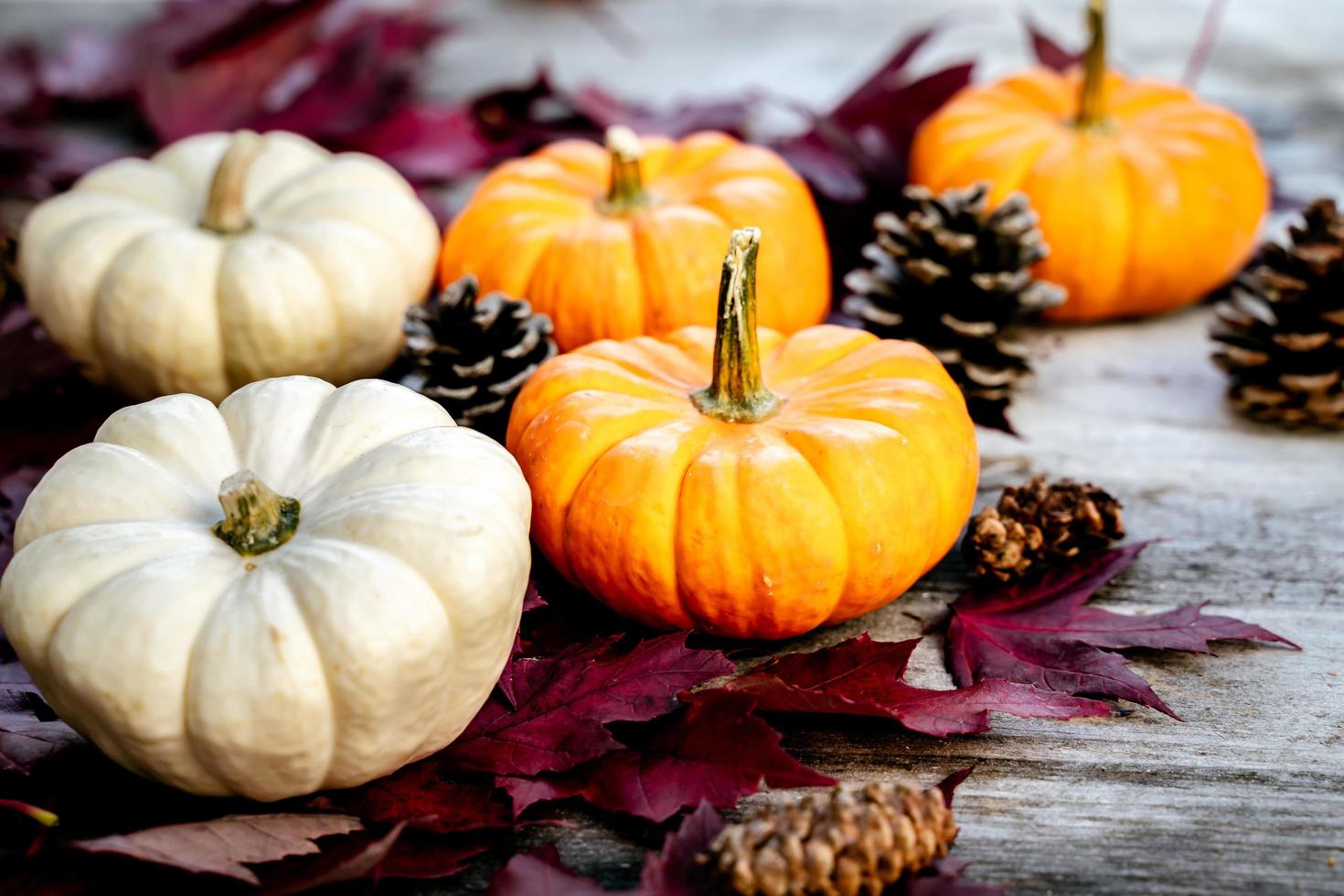 festliche herbstdekoration aus kürbissen, kiefern und blättern auf einem hölzernen hintergrund. konzept des erntedankfestes oder halloweens. flach gelegte herbstkomposition mit kopierraum. foto