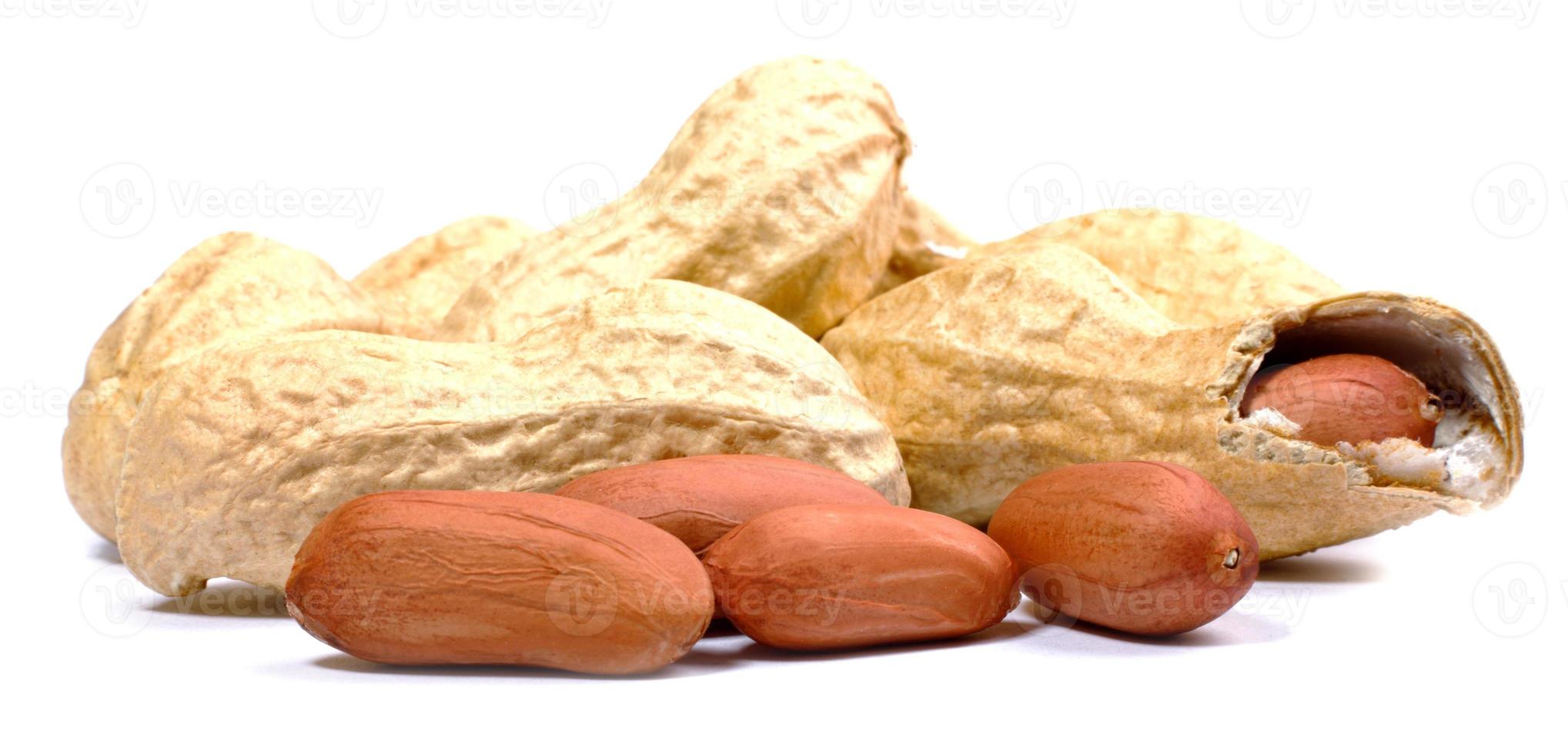 Schale Erdnüsse und geschälte Erdnüsse sind auf einem weißen Hintergrund isoliert. foto